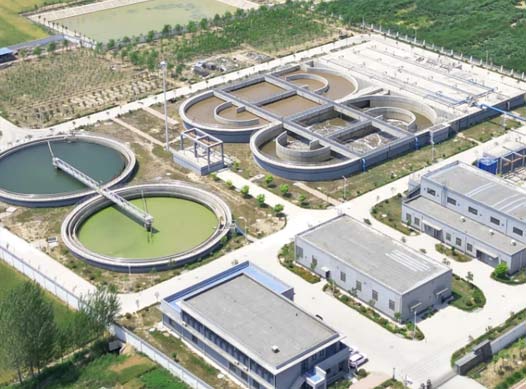 �ɹ�����